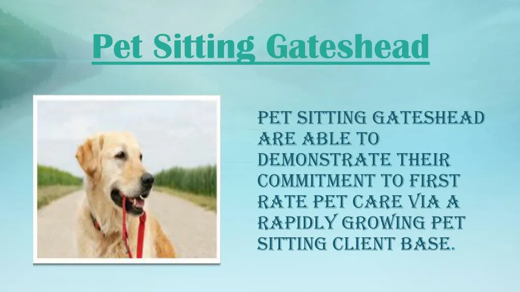 pet sitting gateshead n.