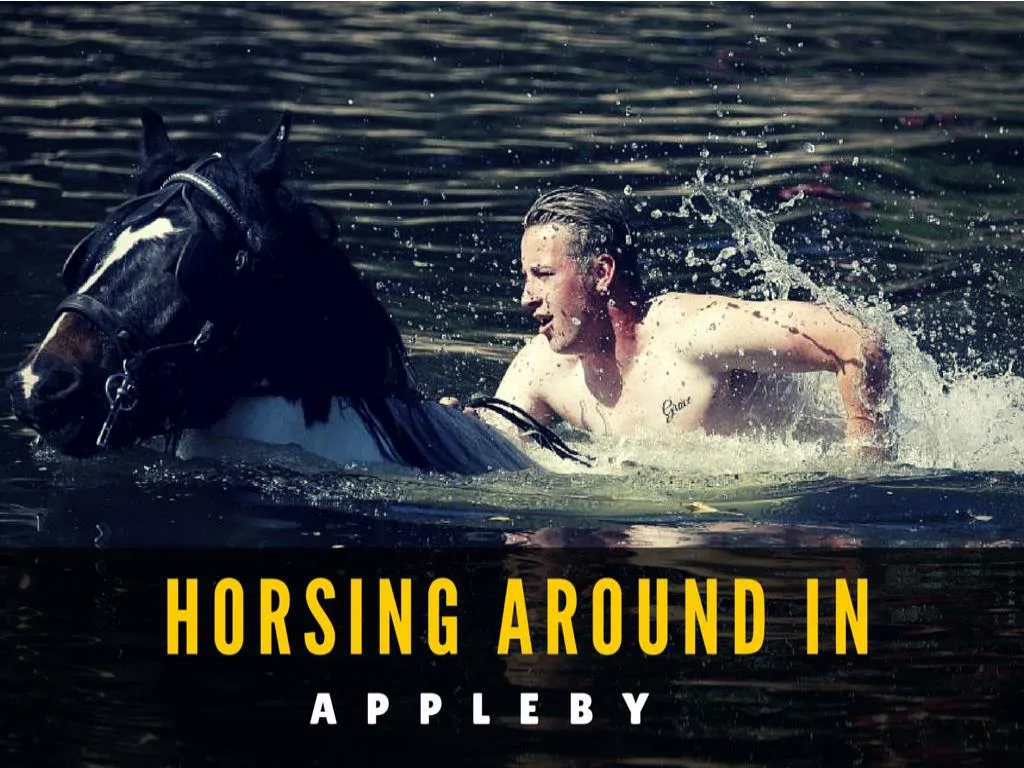 horsing around in appleby n.