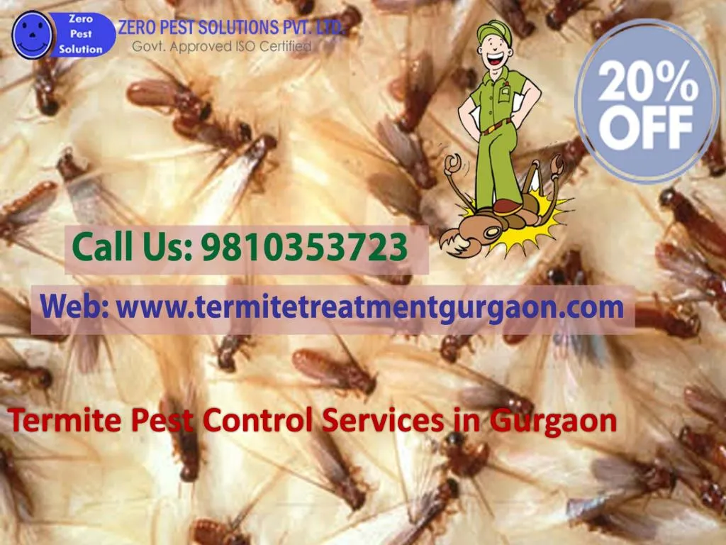 PPT Get 20 Off On Termite Pest Control Services In Gurgaon