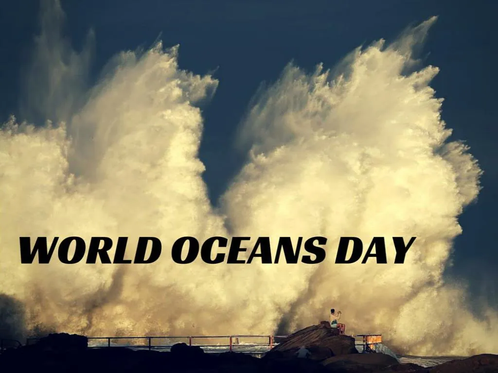 world oceans day n.