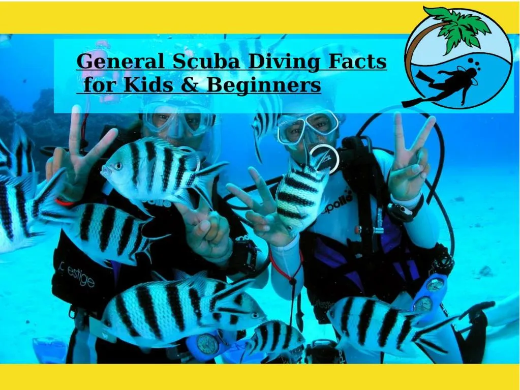 PPT General Scuba Diving Facts for Kids & Beginners PowerPoint