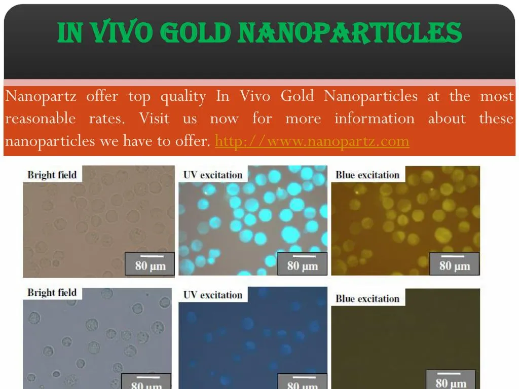 in vivo gold nanoparticles n.