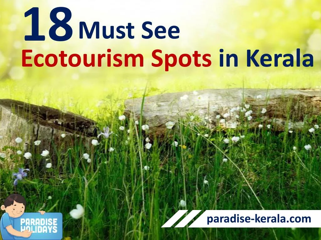 ecotourism in kerala essay