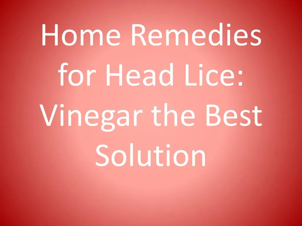 ppt-home-remedies-for-head-lice-vinegar-the-best-solution-powerpoint