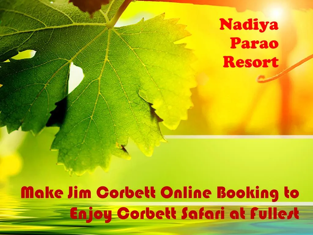 make jim corbett online booking to enjoy corbett safari at fullest n.