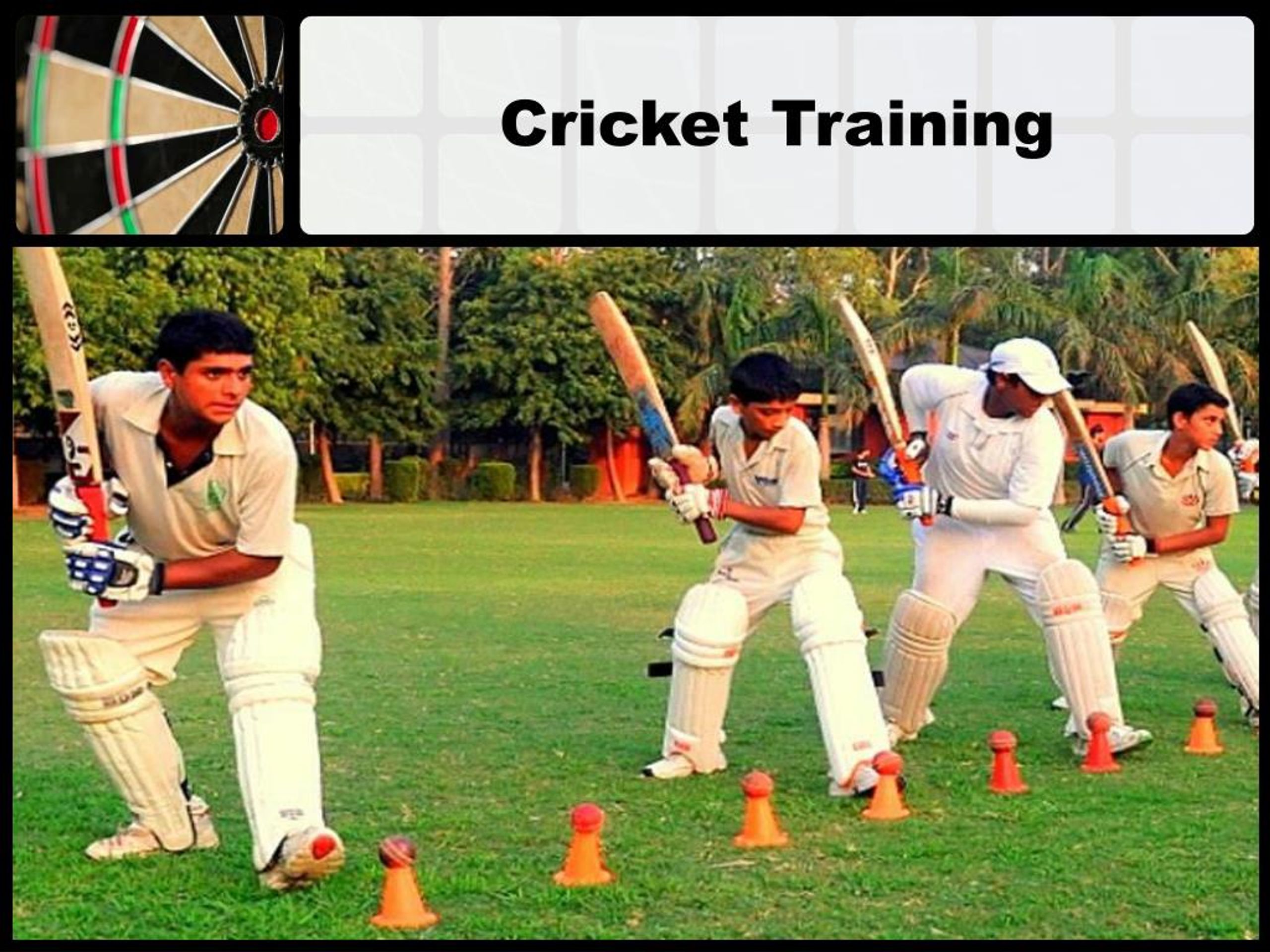 cricket-training-l.jpg