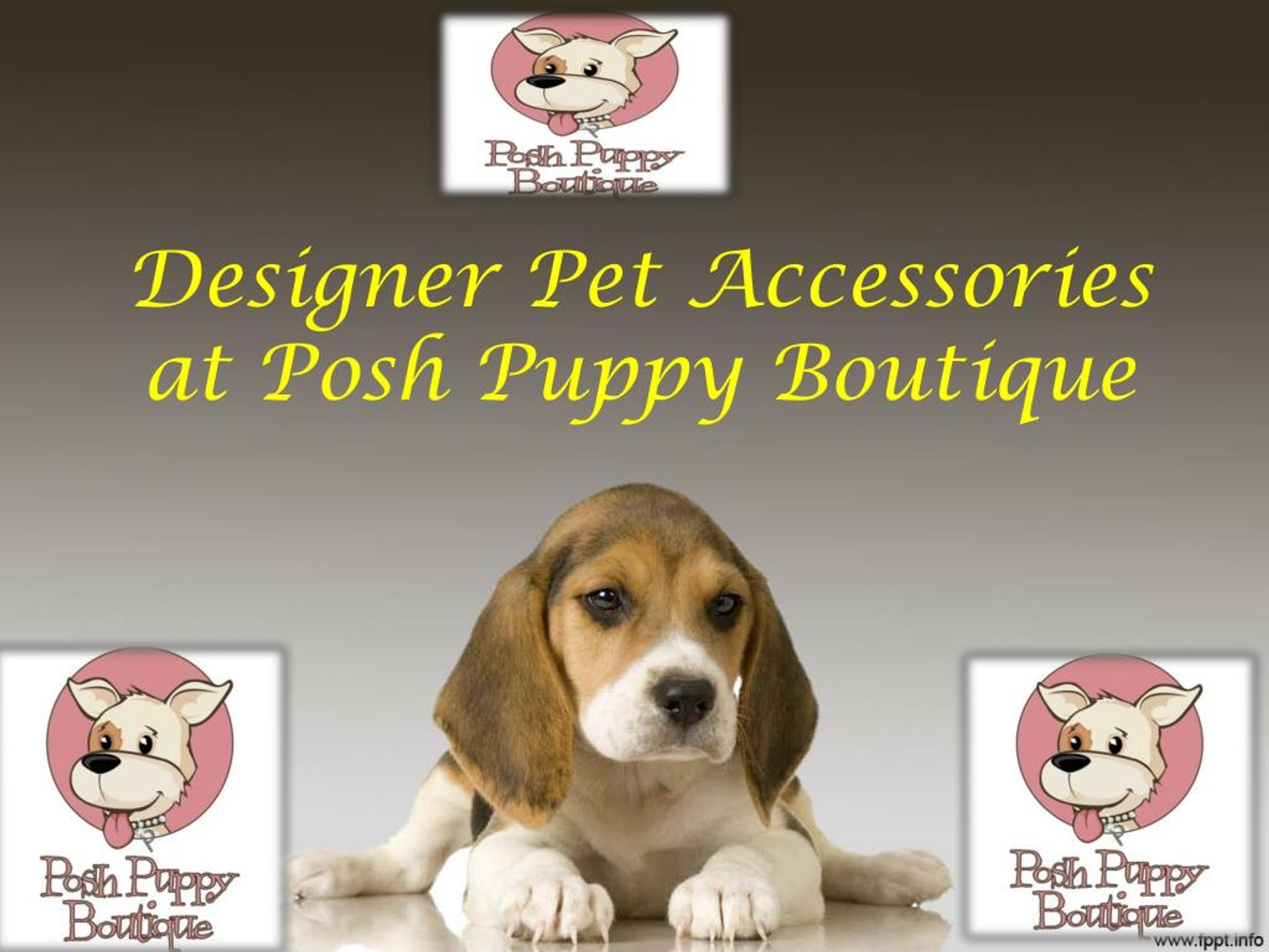 PPT Designer Pet Accessories at Posh Puppy Boutique PowerPoint