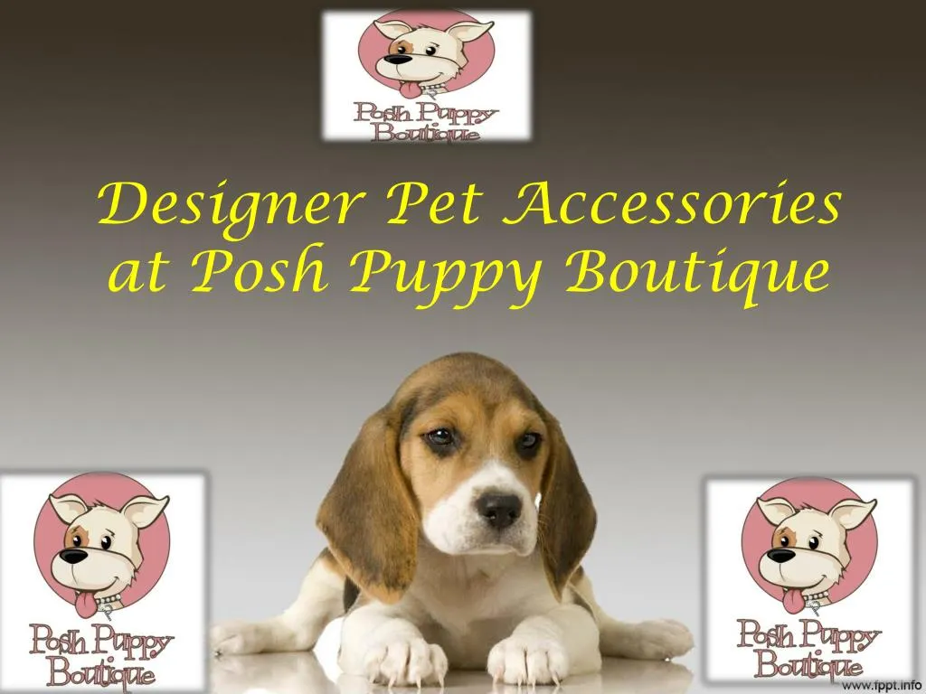 designer pet accessories