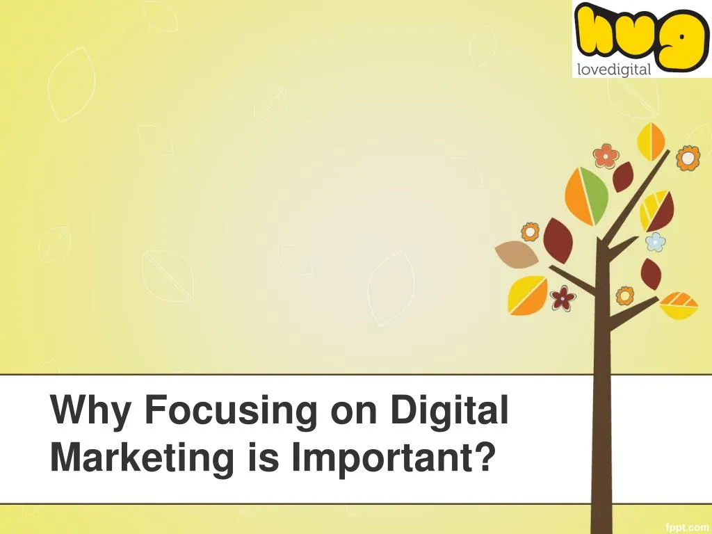 why focusing on digital marketing is important n.