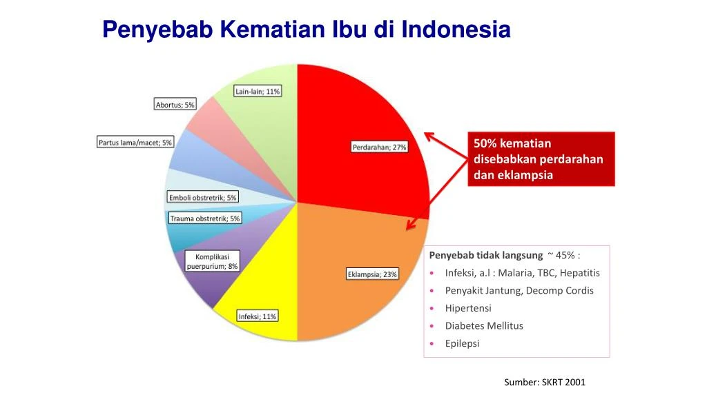 PPT  powerpoint bima PowerPoint Presentation  ID7370712