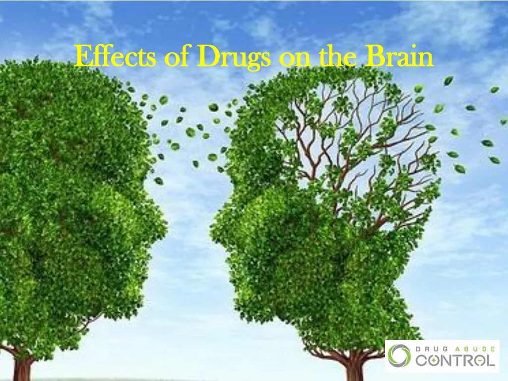 Ppt Effects Of Drugs On The Brain Powerpoint Presentation Free Download Id7372566 0460