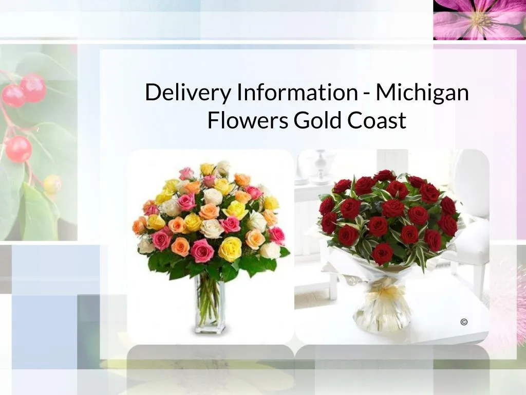 PPT Delivery Information Michigan Flowers Gold Coast PowerPoint