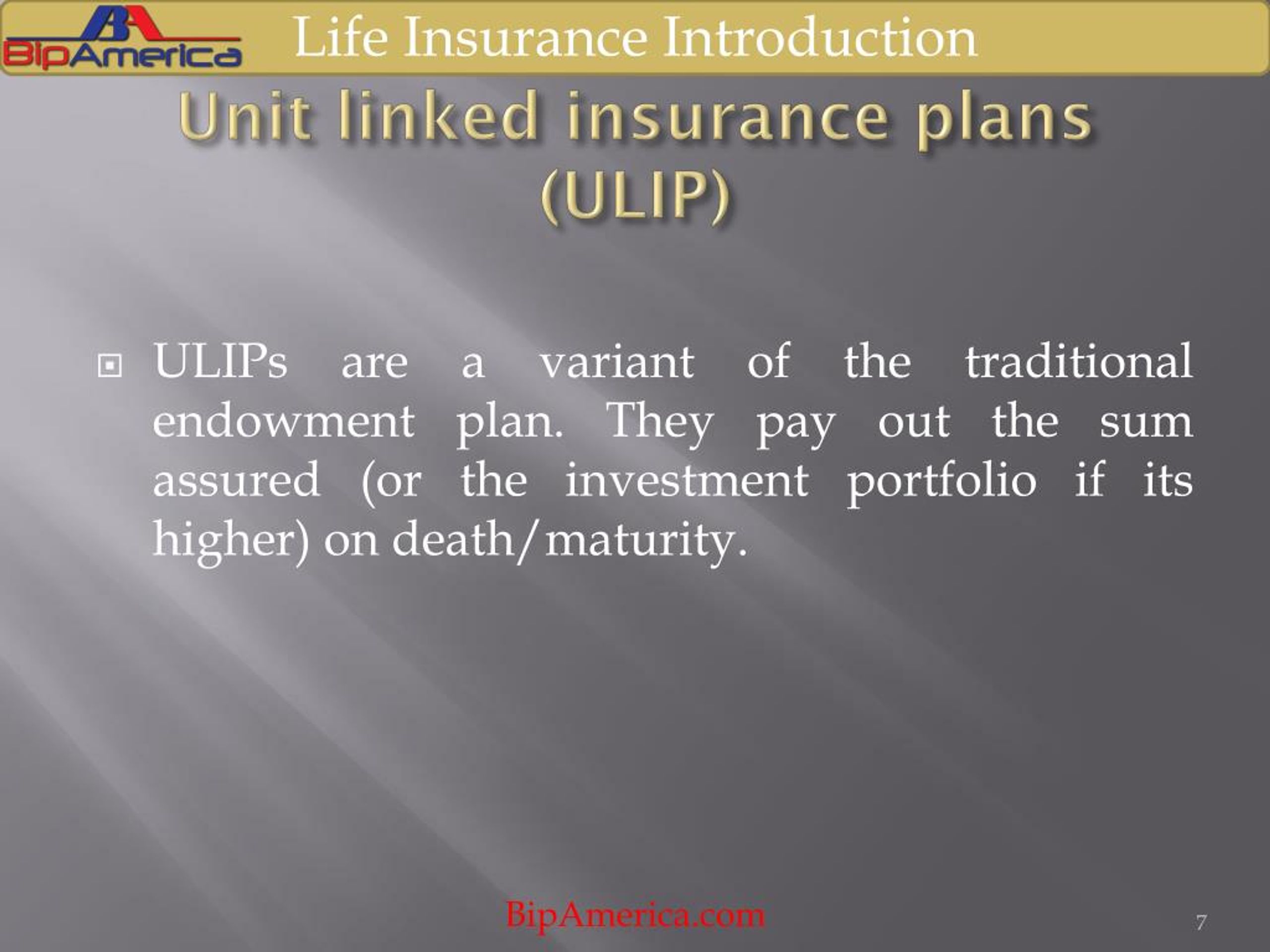 life insurance introduction essay