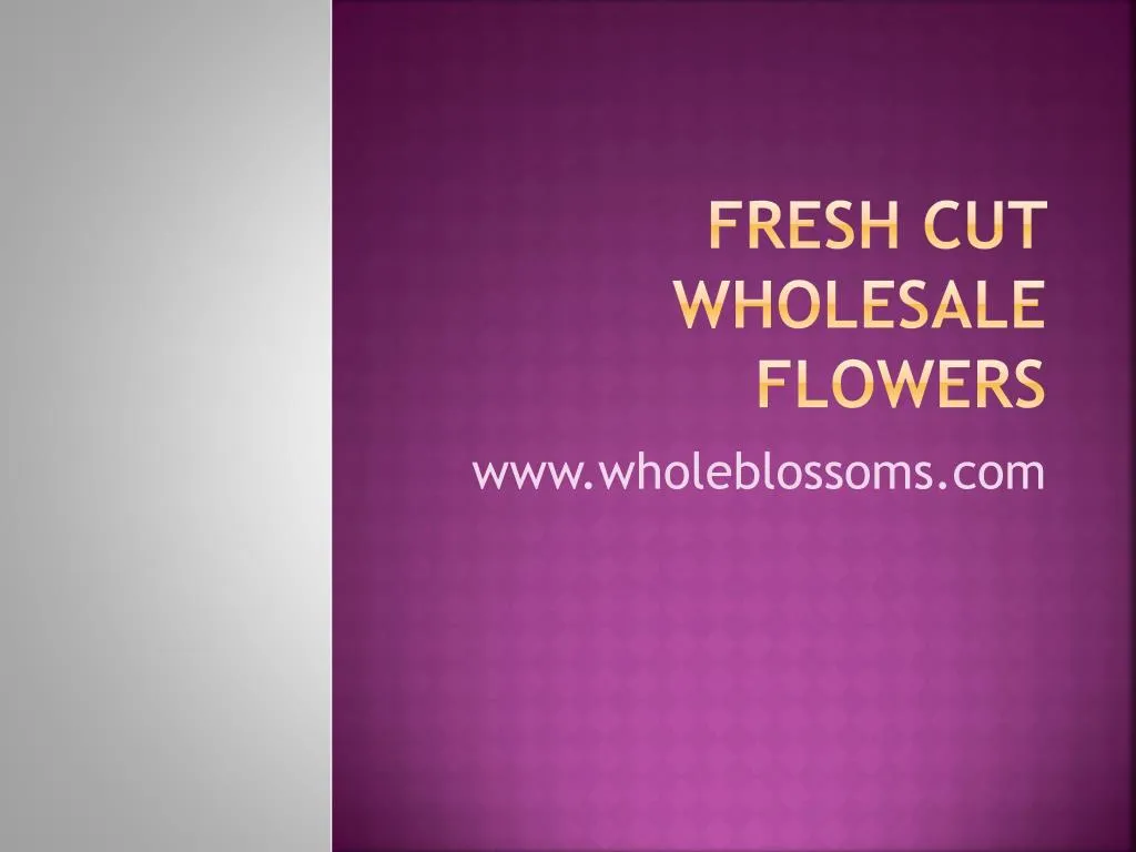 PPT Fresh Cut Wholesale Flowers Www Wholeblossoms Com PowerPoint   Fresh Cut Wholesale Flowers N 