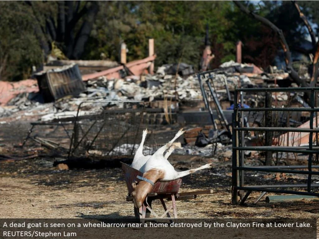 PPT California's Clayton Fire PowerPoint Presentation ID7386622