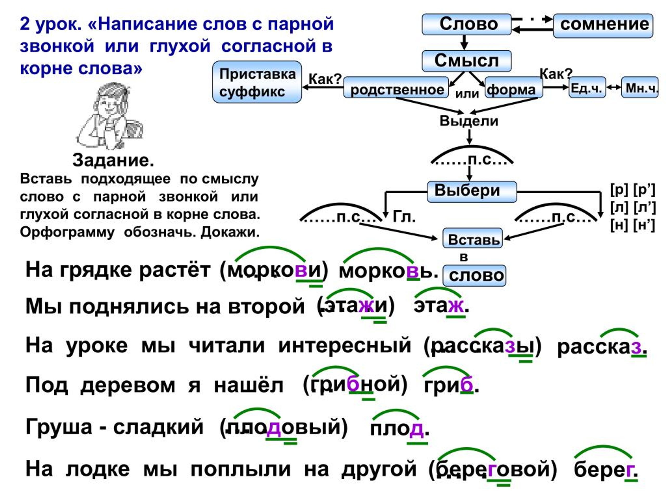 Правописание проверочное слово. Парные согласные в корне и на конце слова. Парные звонкие и глухие согласные в корне слова. Правописание слов с глухими и звонкими согласными в корне. Парные звонкие и глухие согласные в корне примеры.