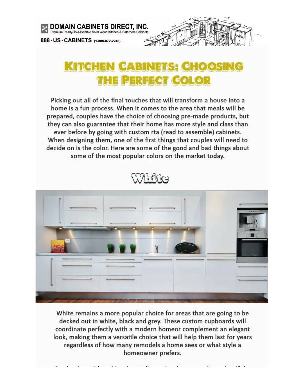 PPT - Kitchen Cabinets Choosing the Perfect Color PowerPoint ...