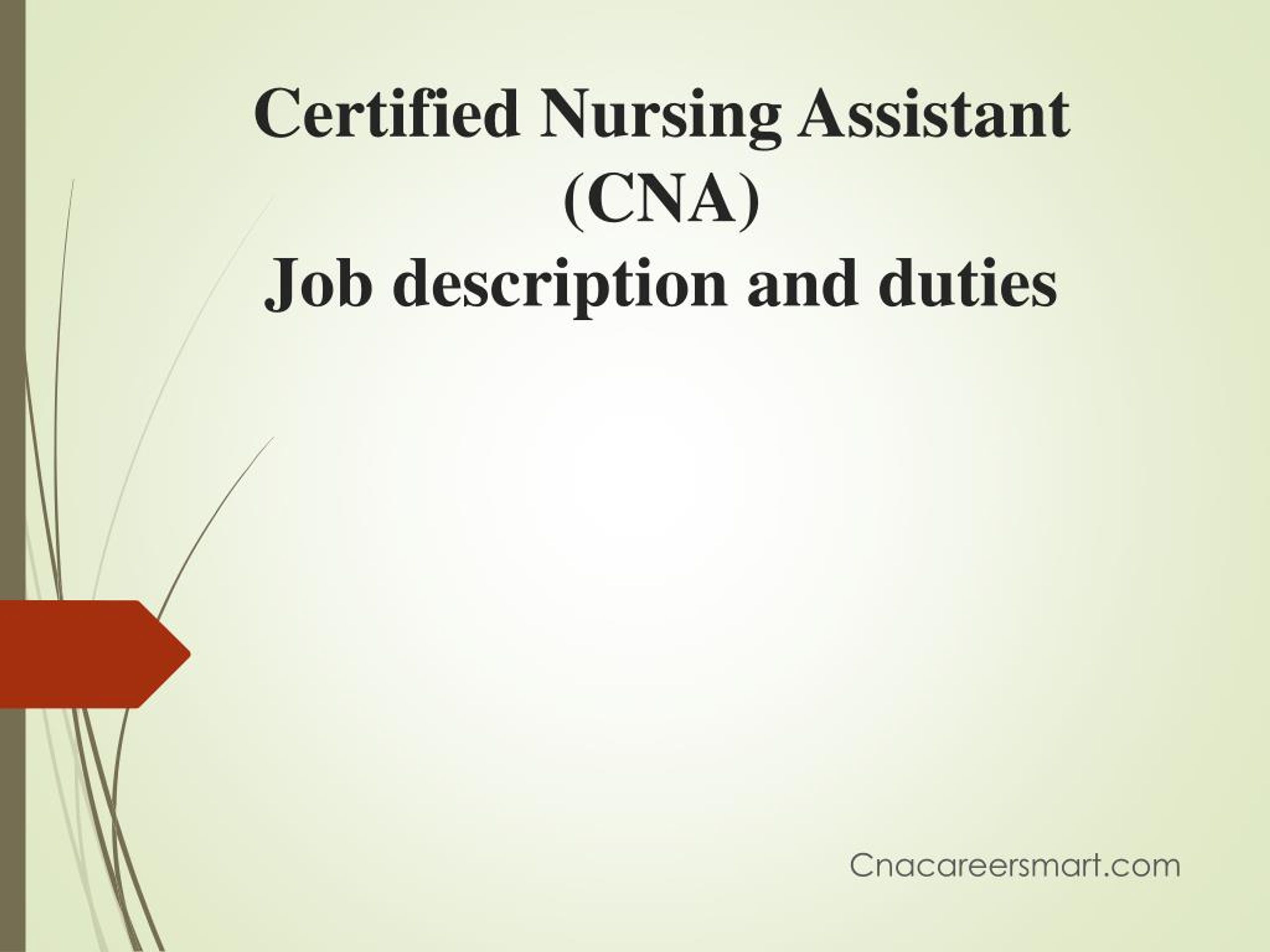 What is a certified nursing assistant job description