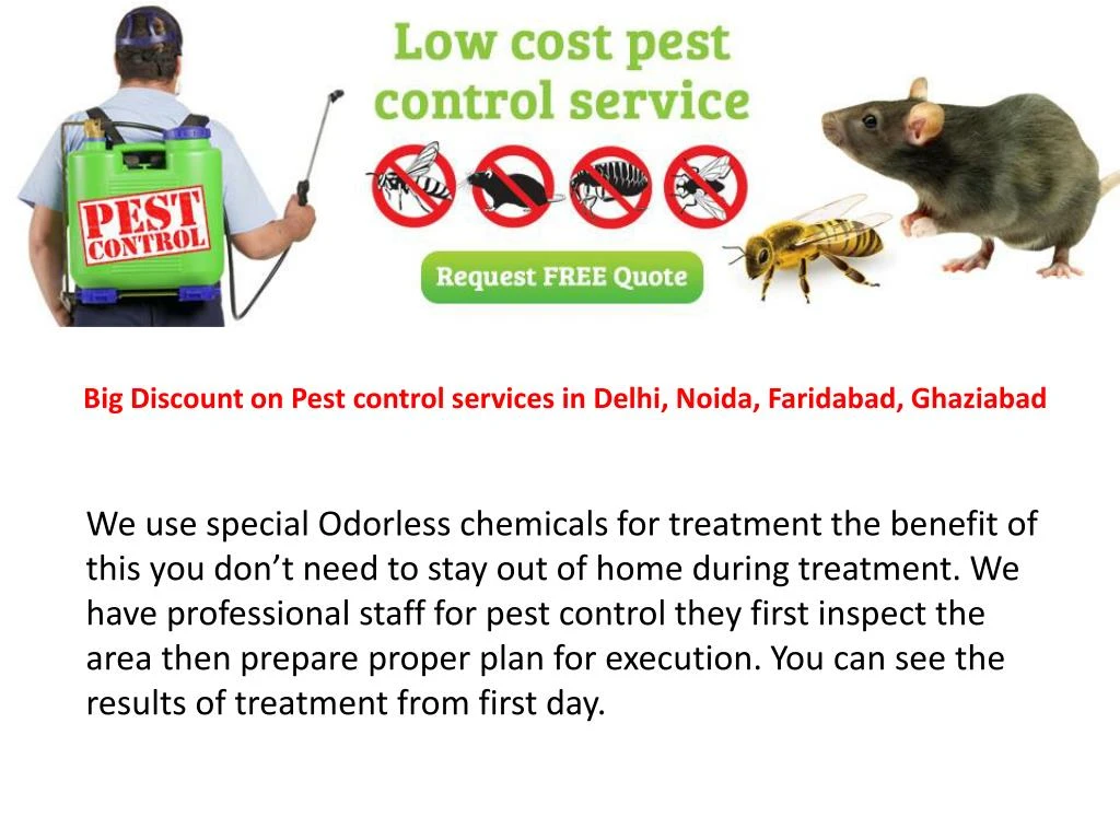 PPT Pest control ghaziabadwww.godrejpestcontrol.co.in PowerPoint Presentation ID7391838