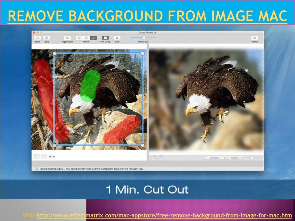 remove background in powerpoint for mac