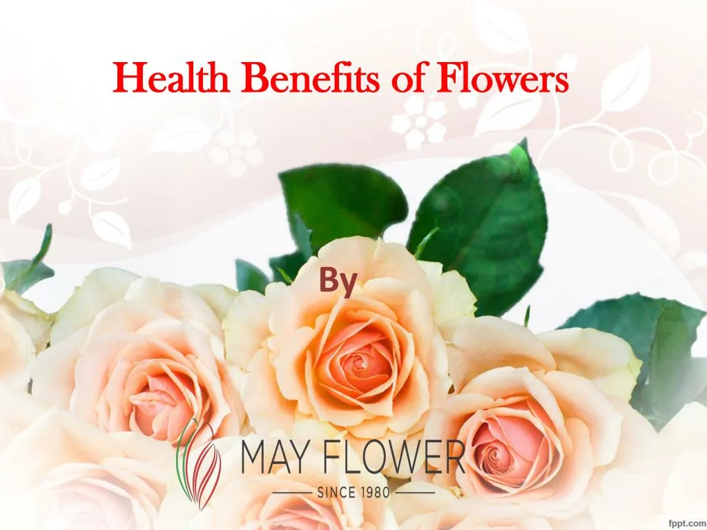 PPT Health benefits of flowers PowerPoint Presentation, free download ID7399639