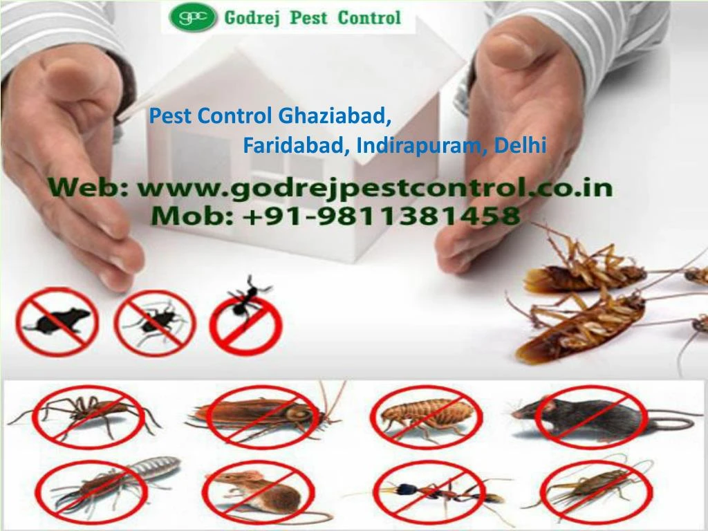 PPT Best Termite Treatment Ghaziabad by Godrej Pest Control PowerPoint Presentation ID7403271
