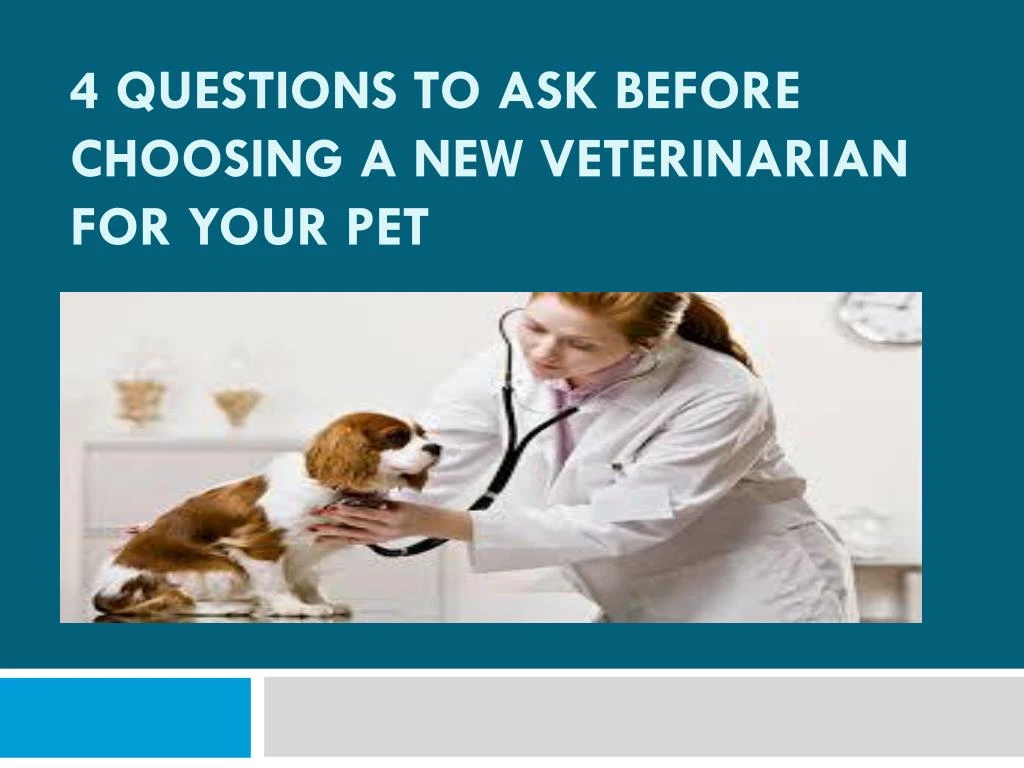 PPT - 4 Questions to ask before choosing a new veterinarian for your ...