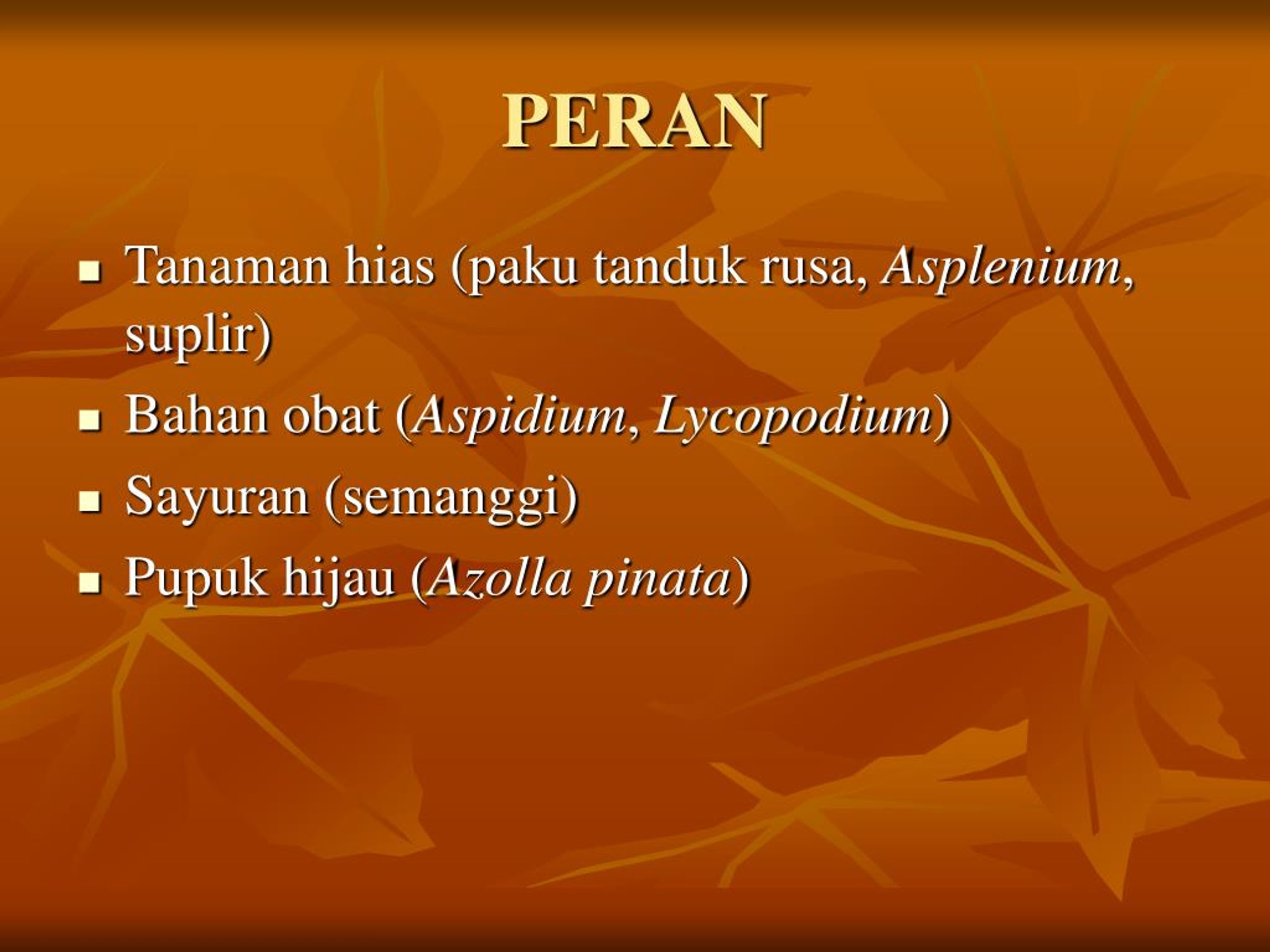 PPT plantae tumbuhan PowerPoint Presentation free 