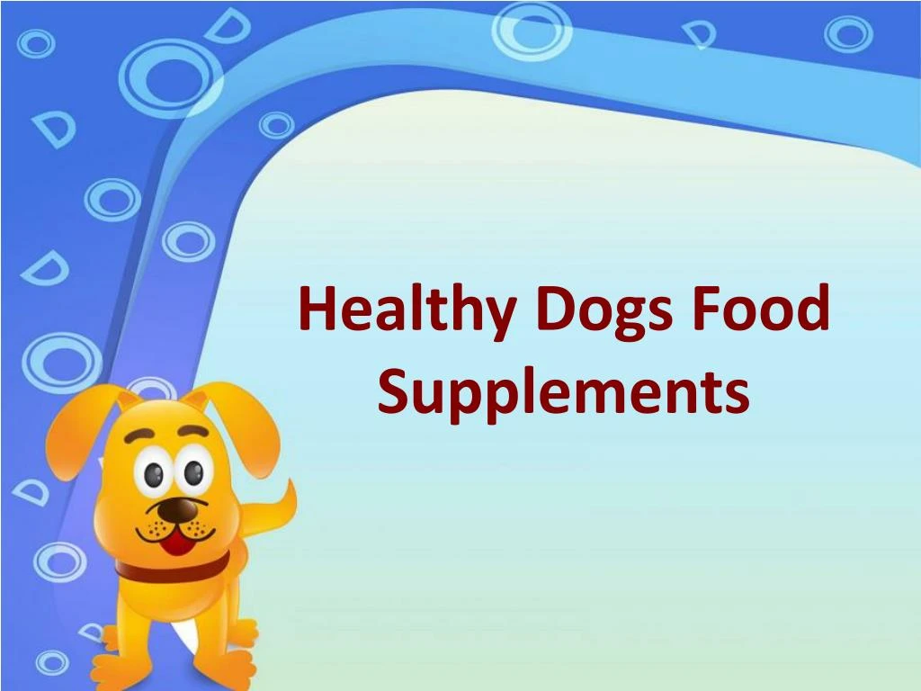 healthy dogs food supplements n.