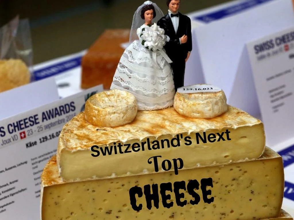 switzerland s next top cheese n.