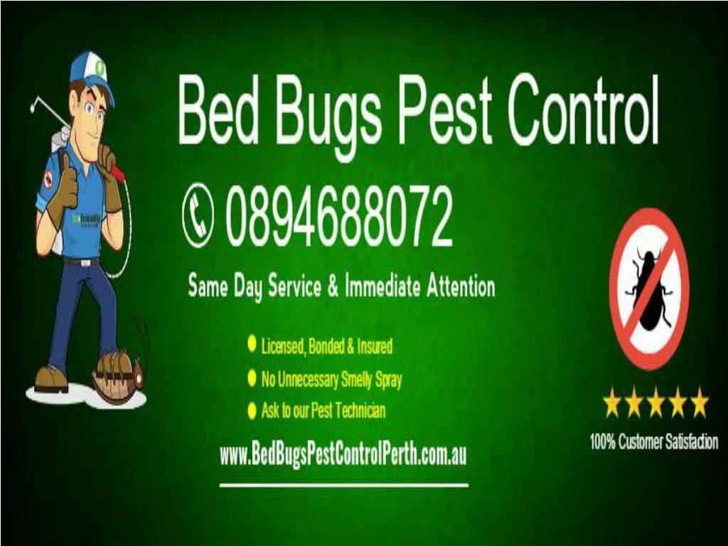 PPT - Bed Bugs Pest Control PowerPoint Presentation, free download - ID ...
