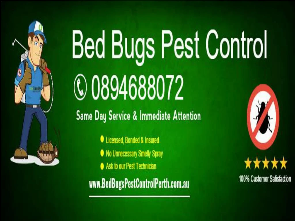 PPT Bed Bugs Pest Control PowerPoint Presentation, free download ID