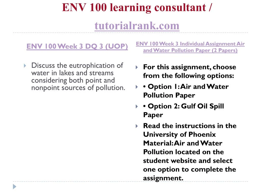 essay question in english language my