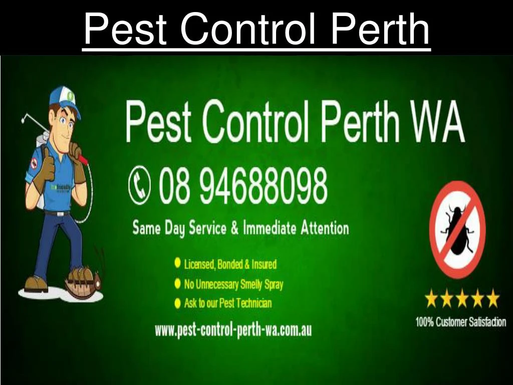 PPT - Pest Control Perth WA PowerPoint Presentation, free download - ID ...