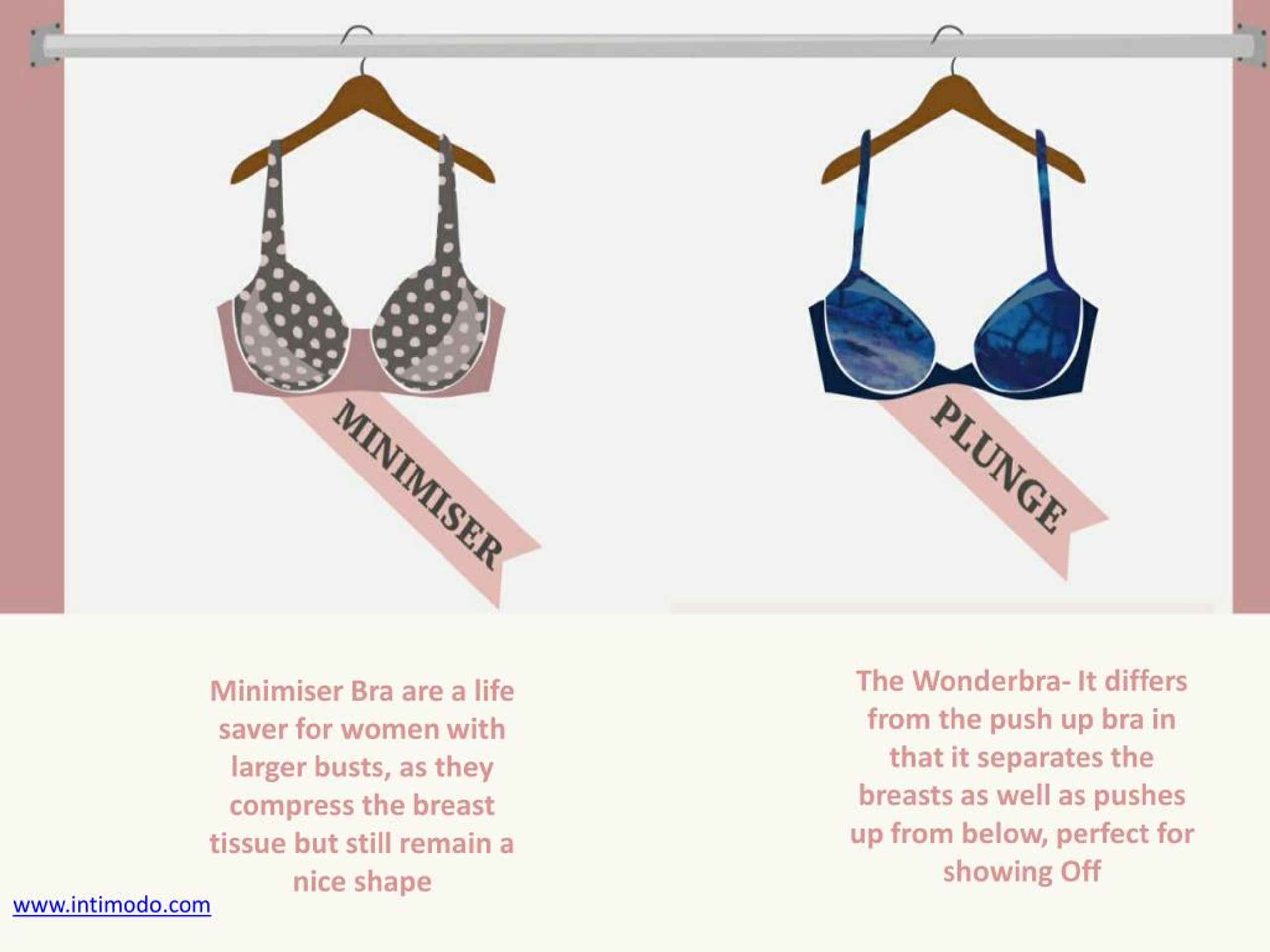 PPT - The Ultimate Bra Vocabulary PowerPoint Presentation, free ...