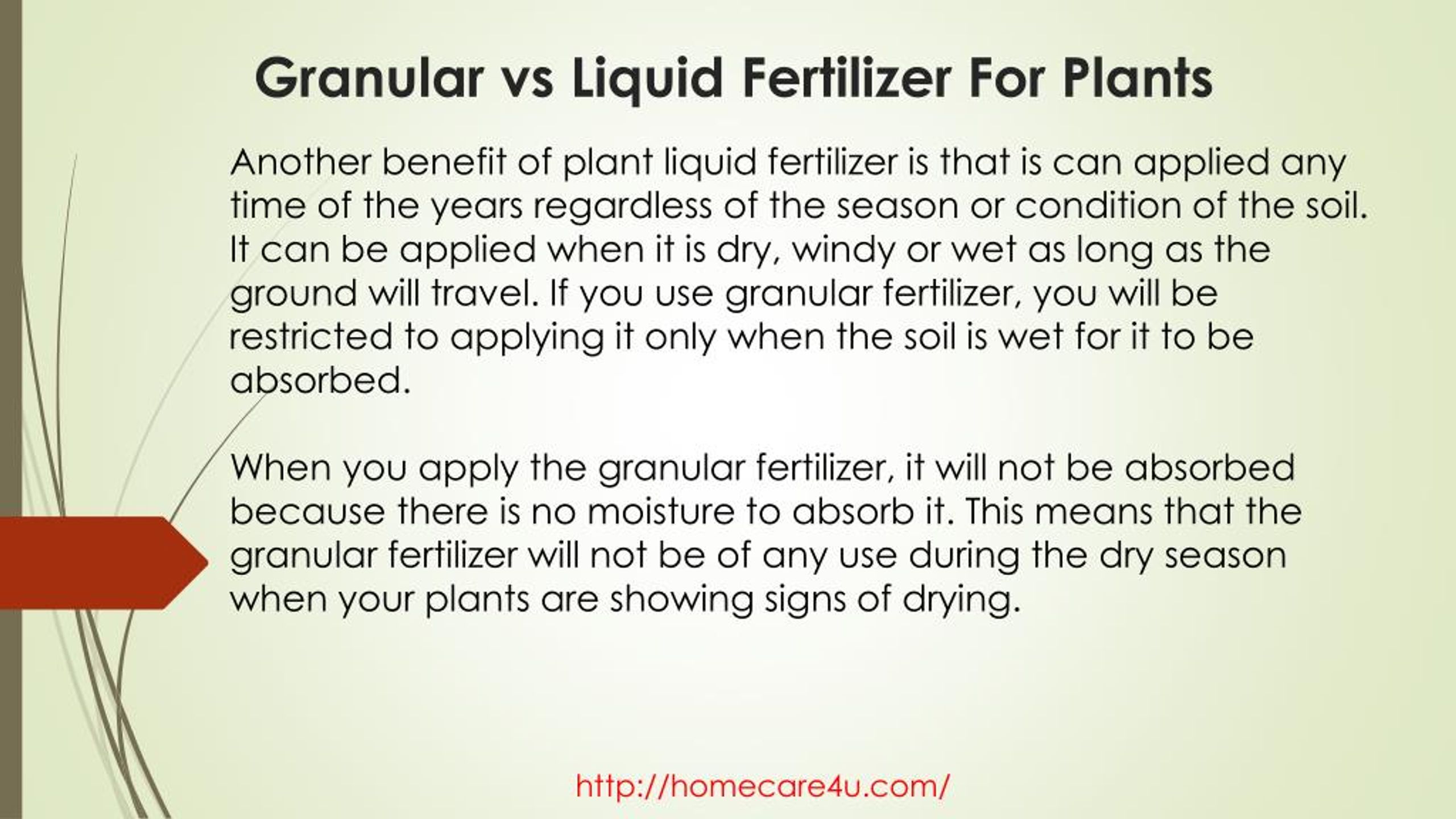 PPT - Granular Vs Liquid Fertilizer For Plants PowerPoint Presentation ...