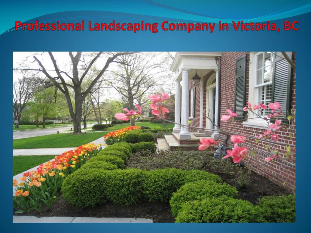 professional landscaping company in victoria bc n.