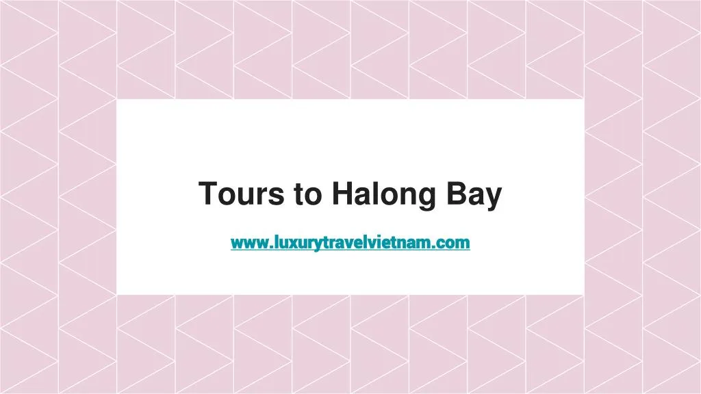 tours to halong bay n.