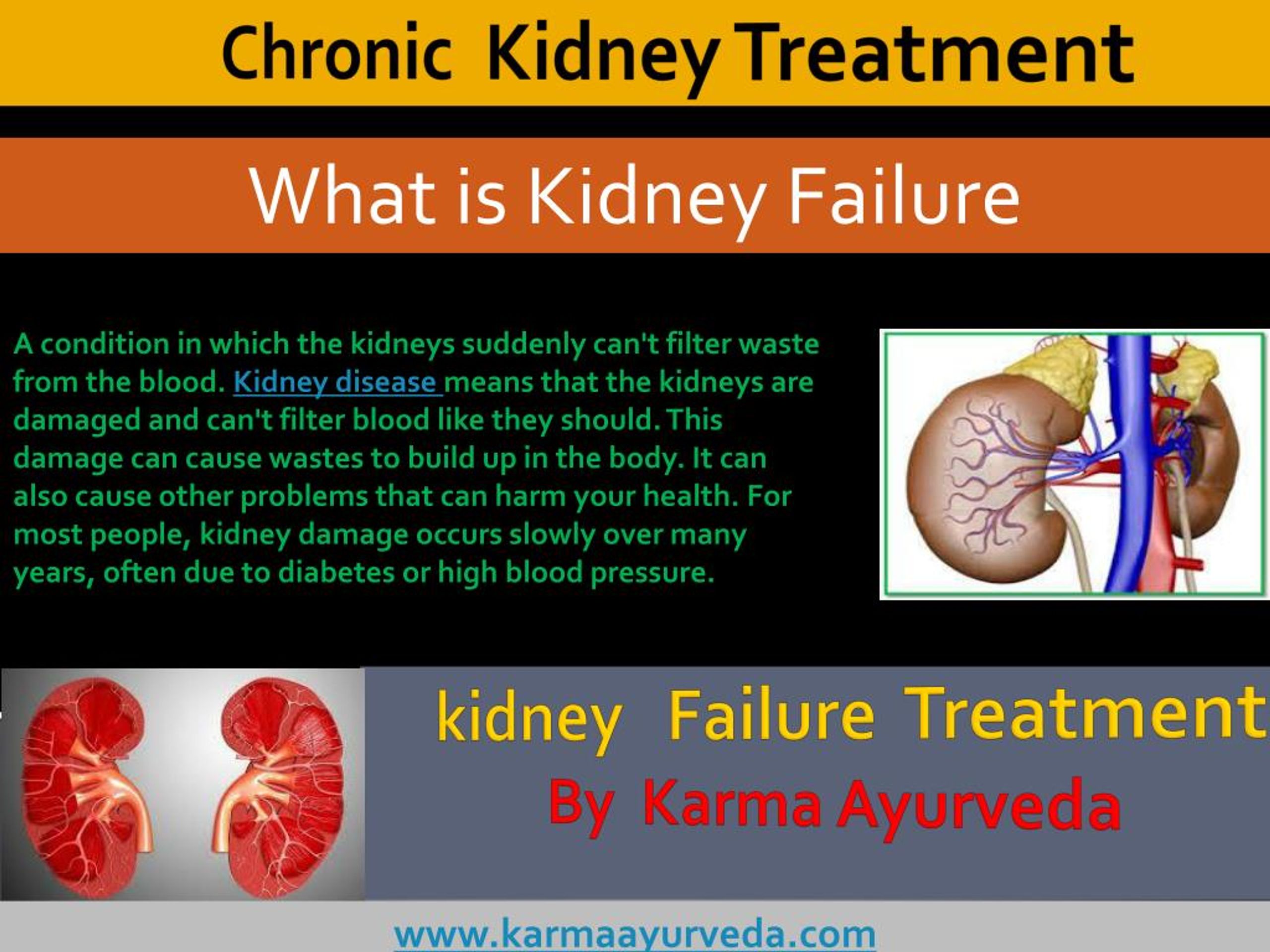 presentation about kidney failure