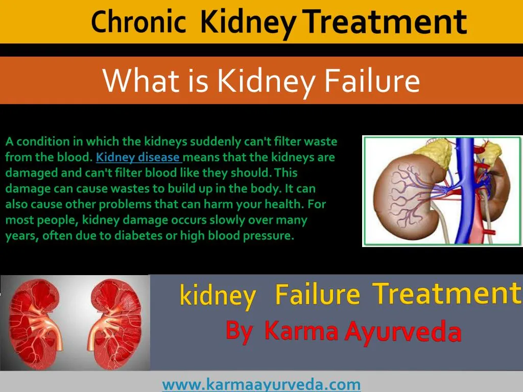 ppt-chronic-kidney-failure-powerpoint-presentation-free-download