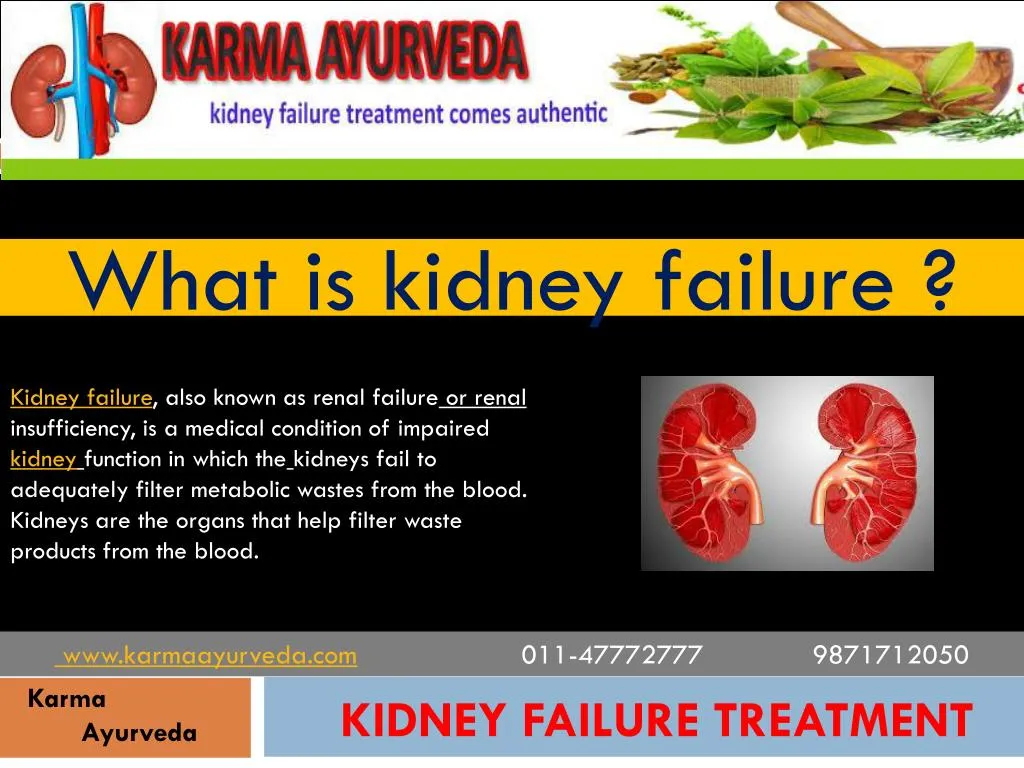 What Is Kidney Failure N 