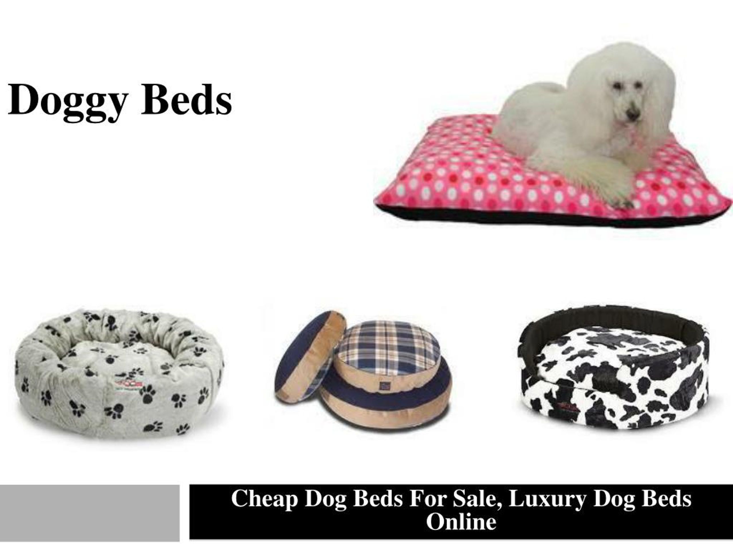 where to get cheap dog beds