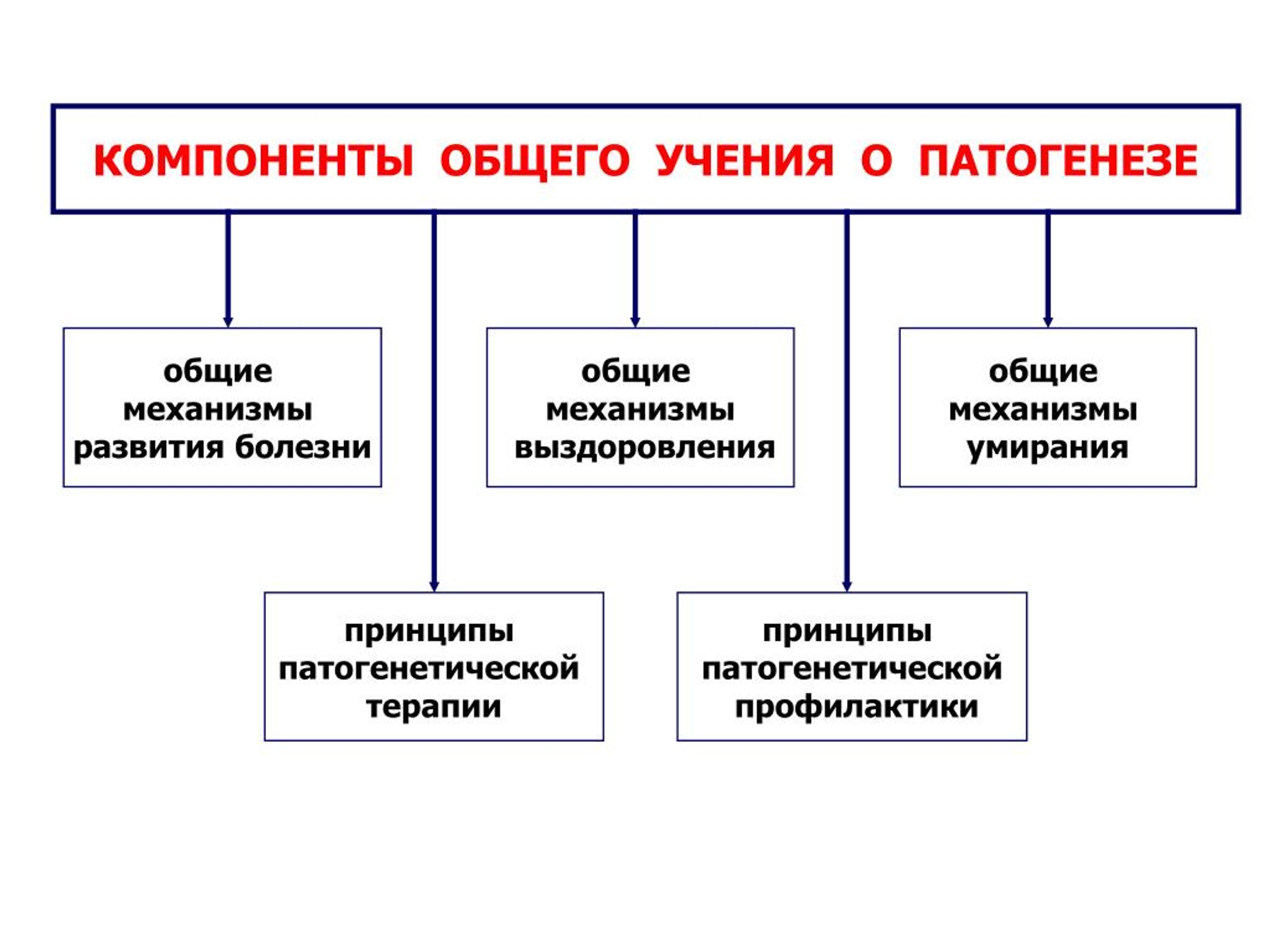 Содержание учения. Основные положения общего учения о патогенезе. Долговременные механизмы выздоровления. Учение о механизмах развития болезни механизмы. Компоненты нозологии.