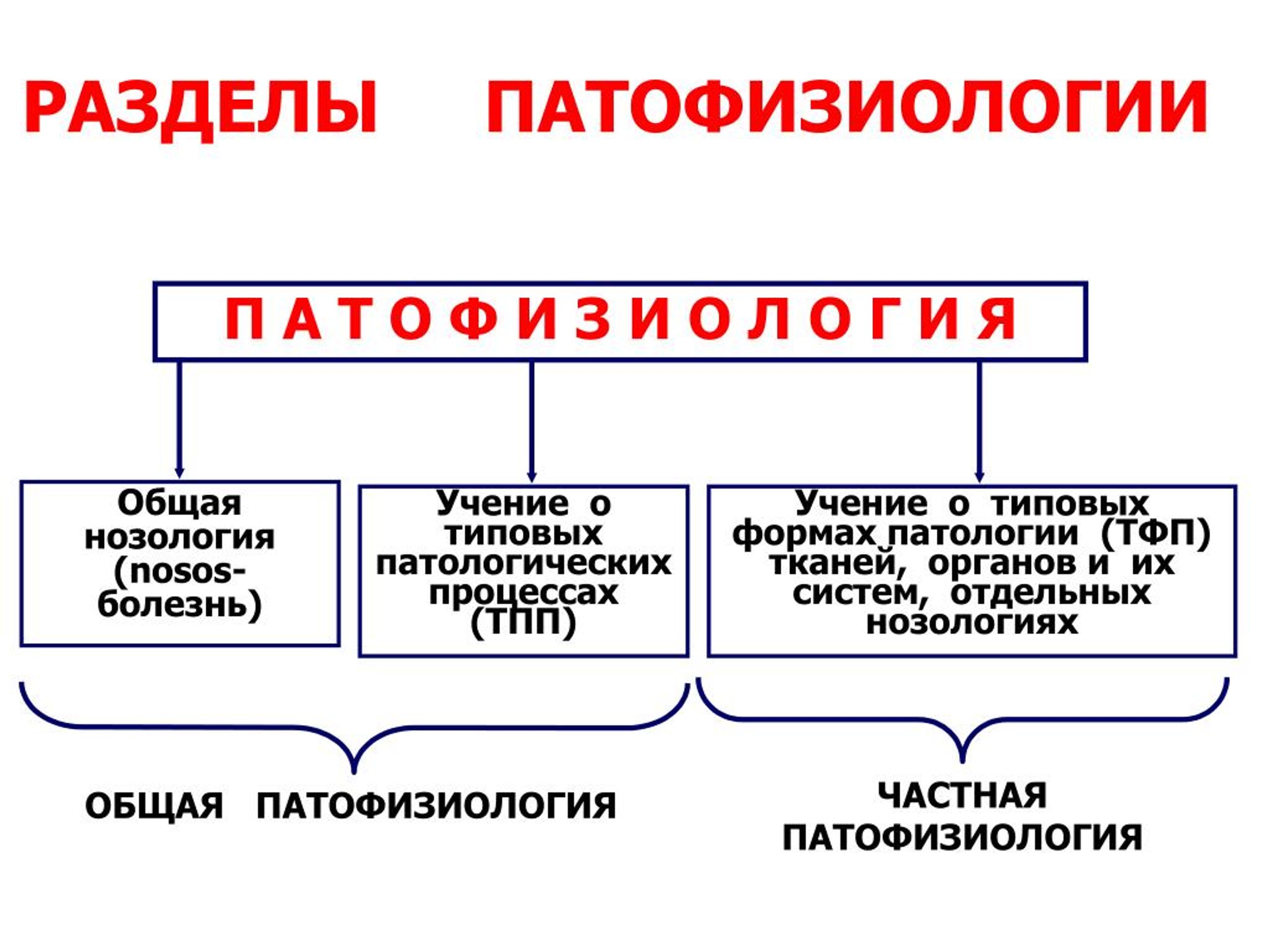 Патфиз. Клиническая патофизиология. Общая нозология. Разделы патофизиологии. Нозология патофизиология.