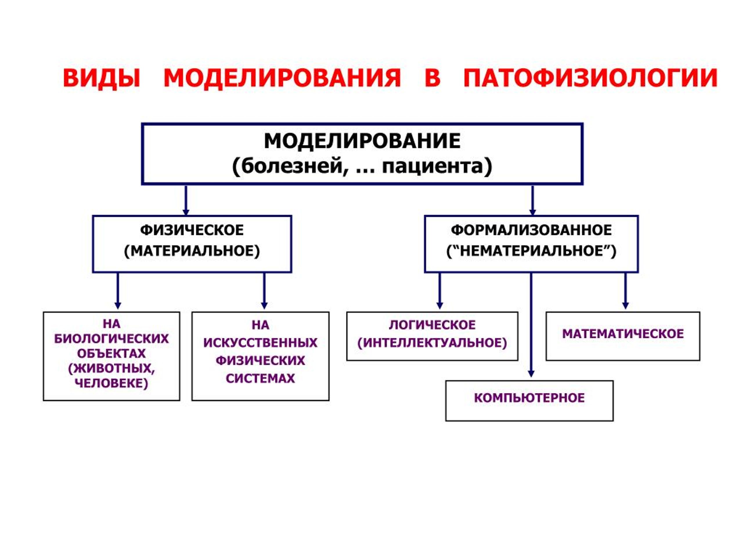 Виды моделирования