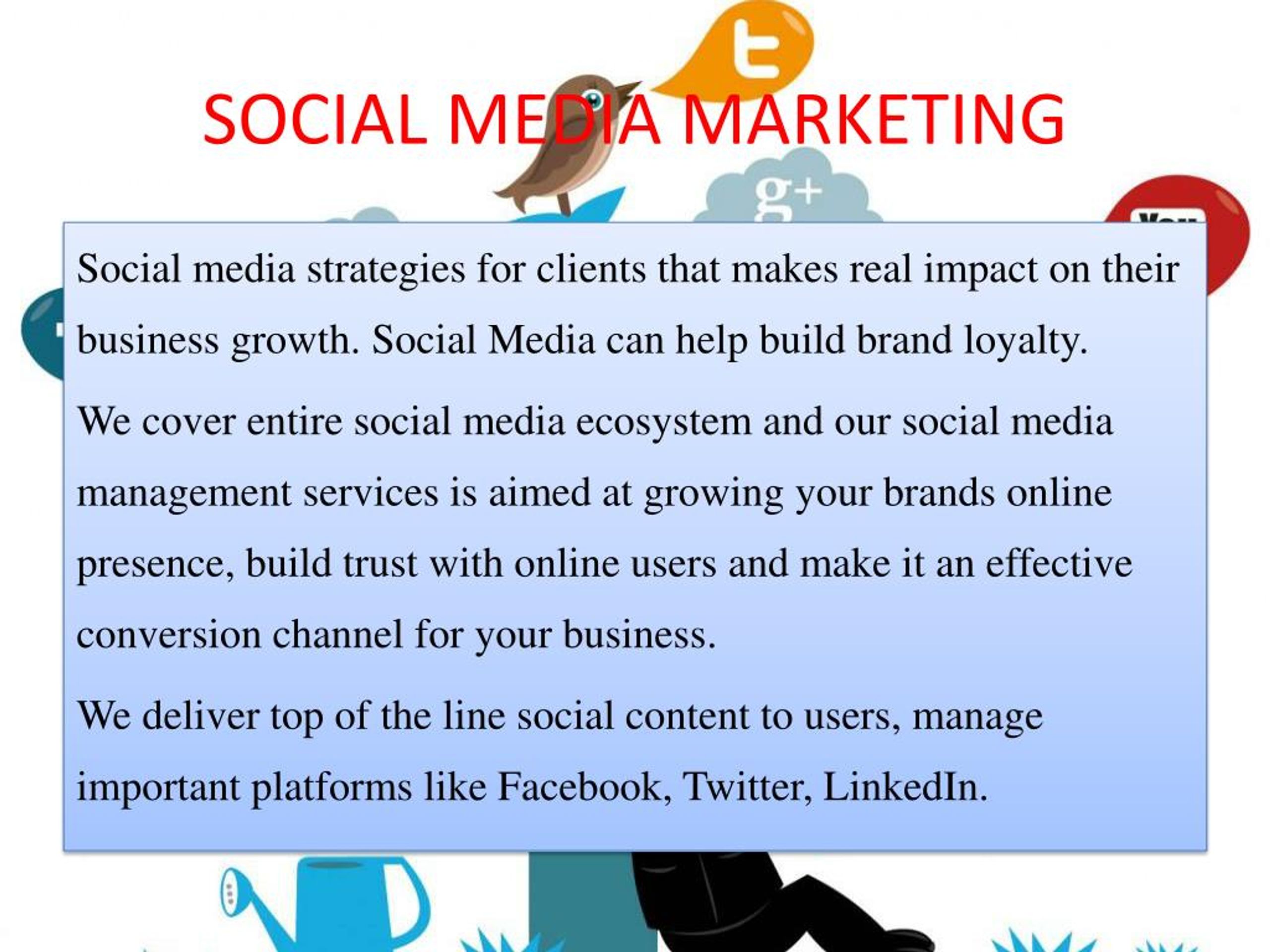 PPT Social Media Marketing Agency Bangalore Social Media Agency 