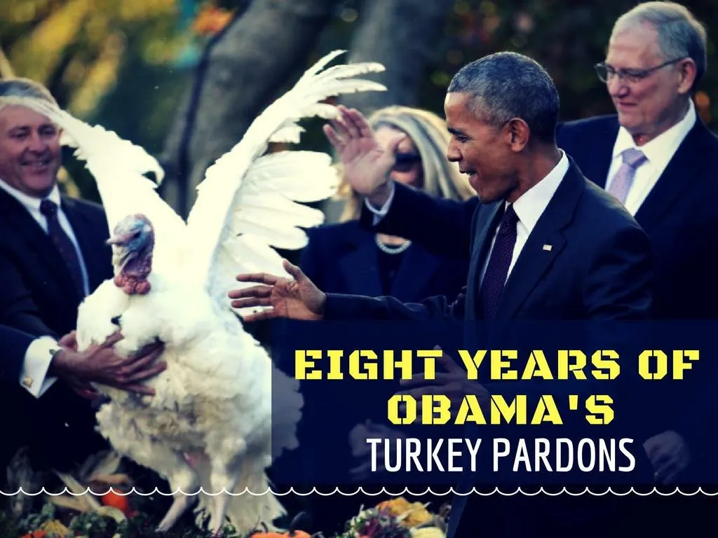 eight years of obama s turkey pardons n.