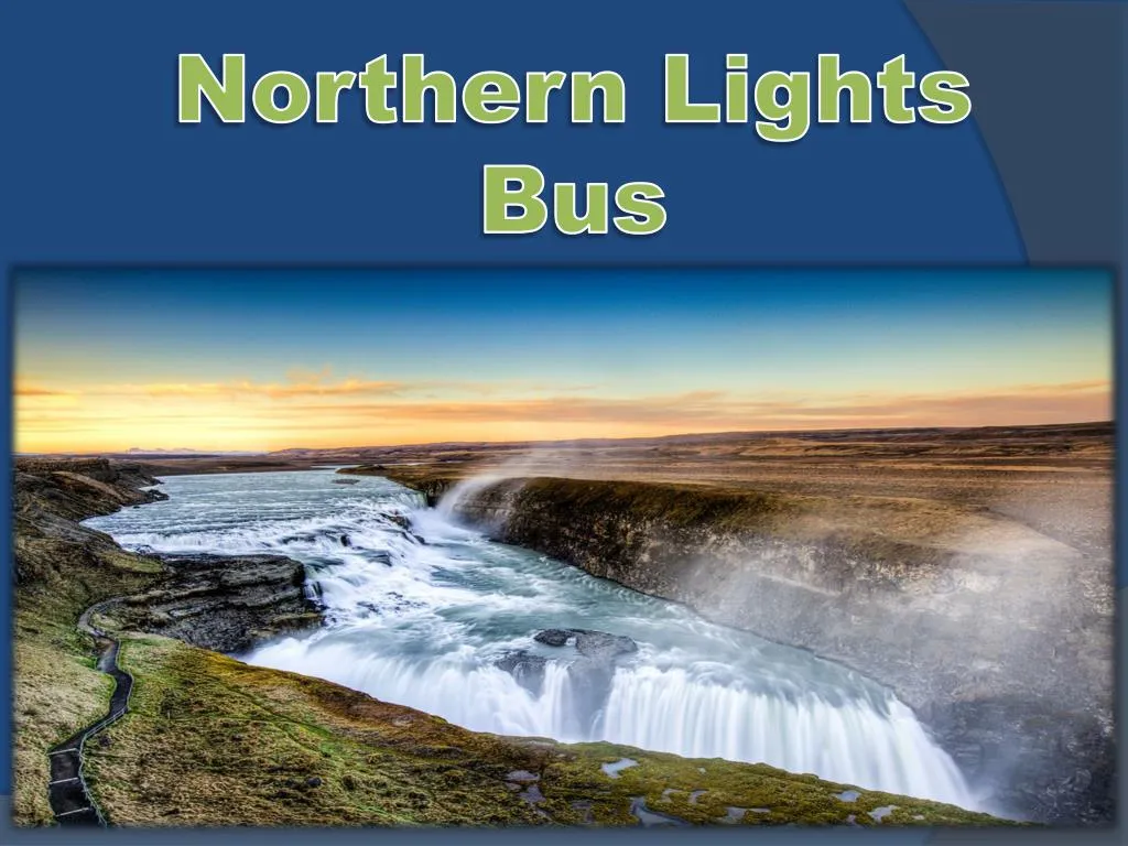 northern lights bus n.