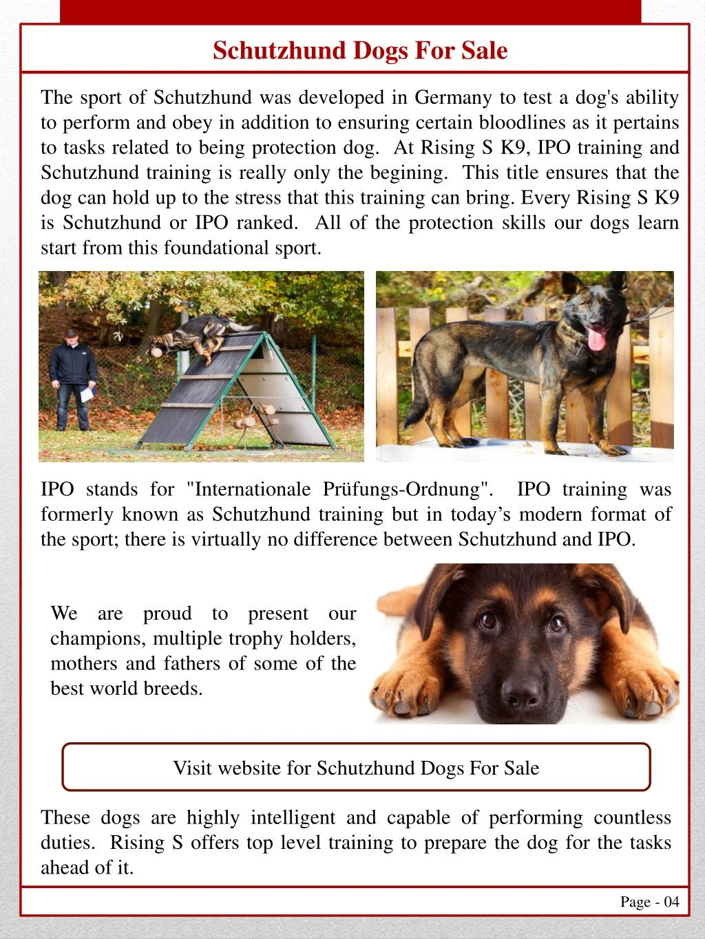 PPT - Dog Training PowerPoint Presentation, free download - ID:11644404