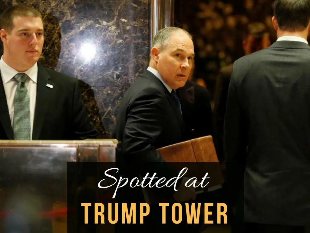 spotted at trump tower n.
